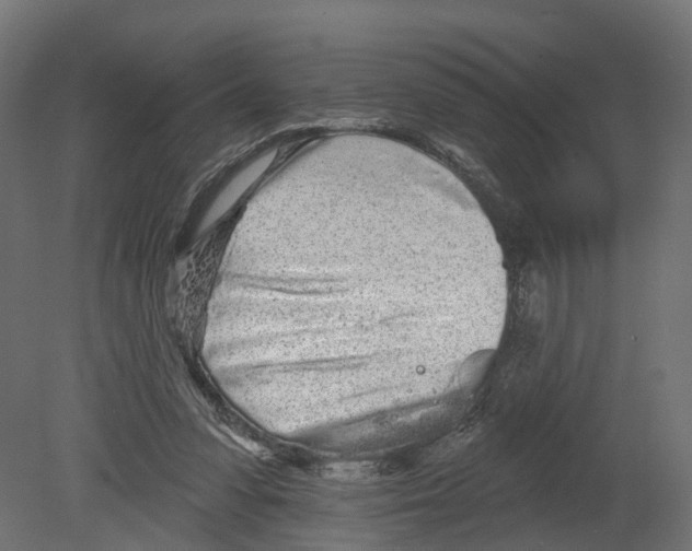 X0000080670303200701121639