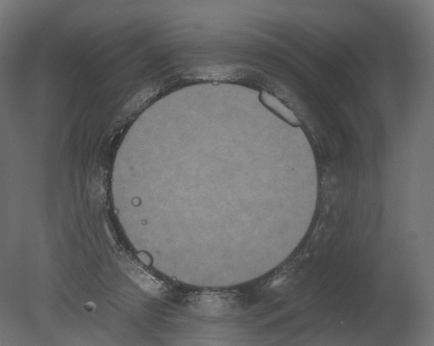 X0000080670305200701121639