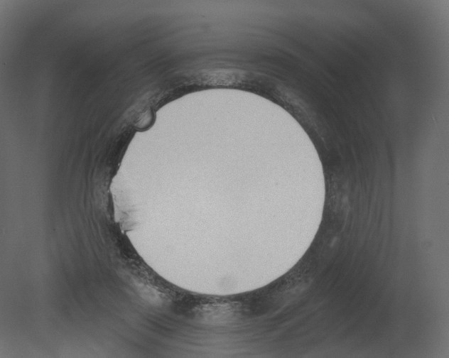 X0000080670307200701121639