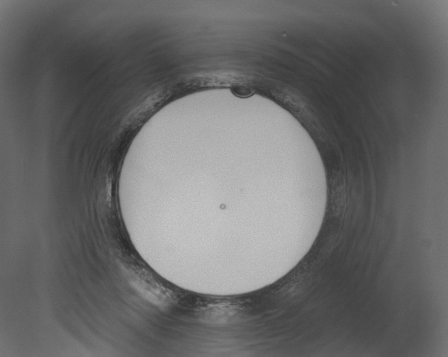 X0000080670310200701121639