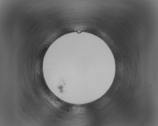 X0000080670311200701121639