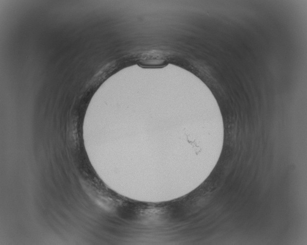 X0000080670312200701121639