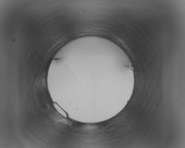 X0000080670313200701121639