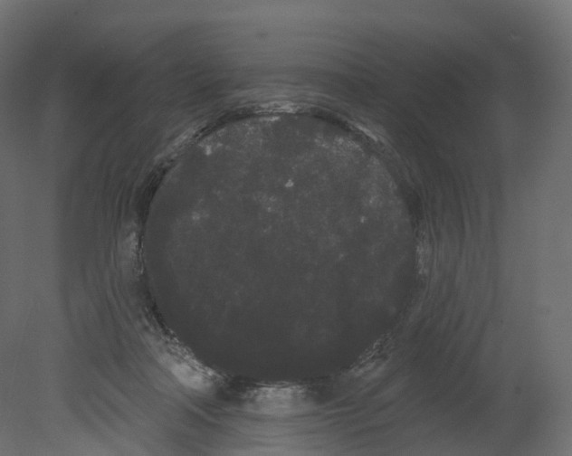 X0000080670314200701121639