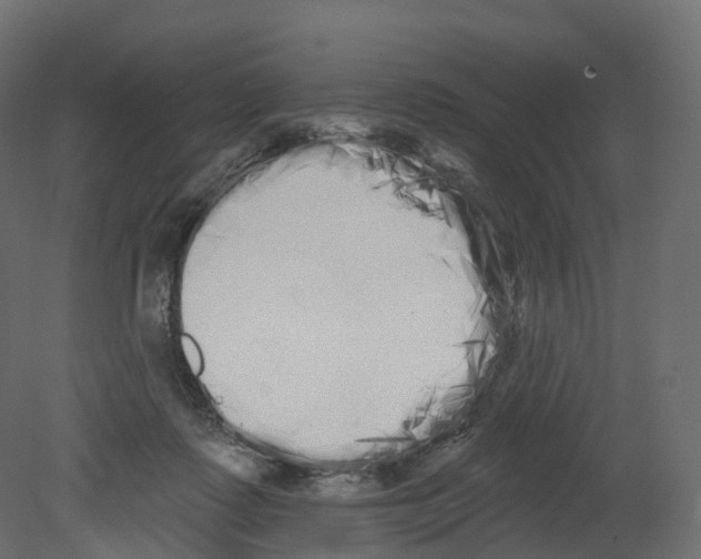 X0000080670315200701121639