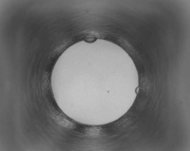 X0000080670318200701121639