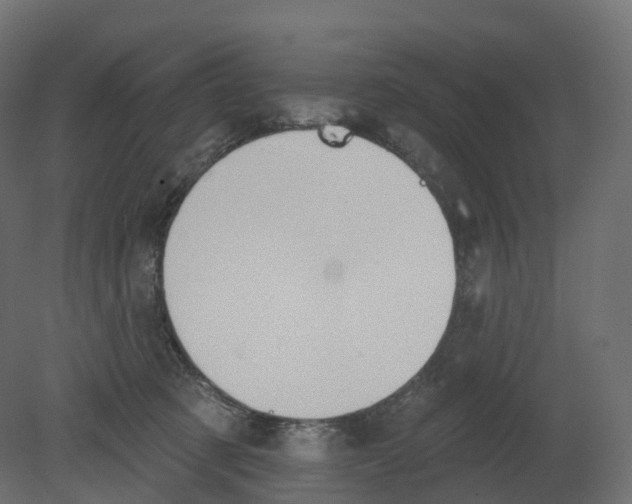 X0000080670321200701121639