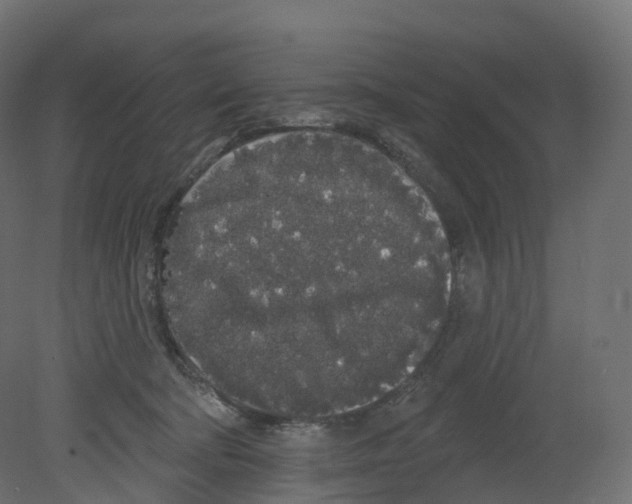 X0000080670322200701121639