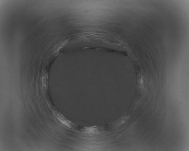 X0000080670325200701121639