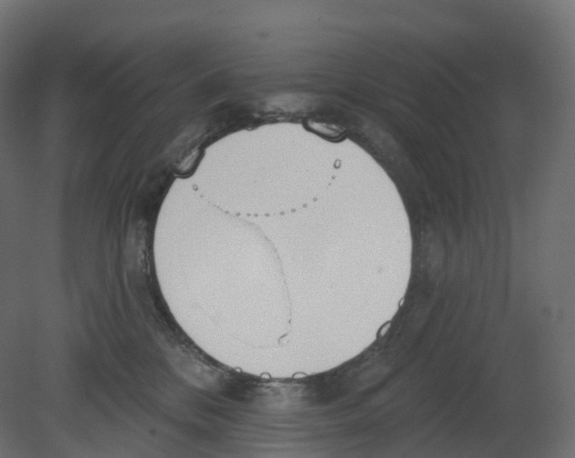 X0000080670328200701121639