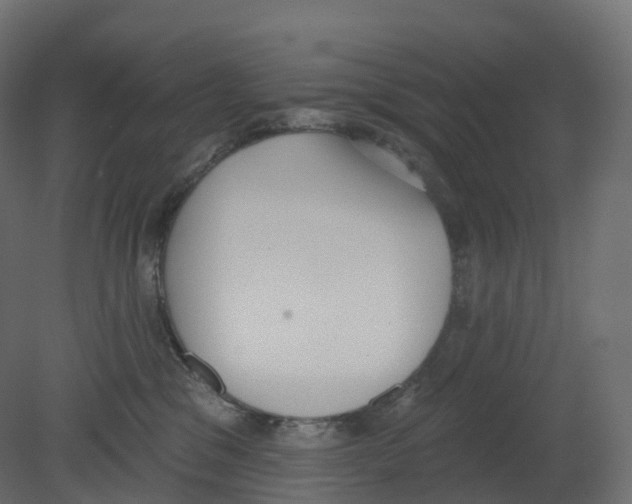 X0000080670329200701121639