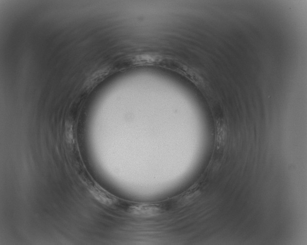 X0000080670331200701121639