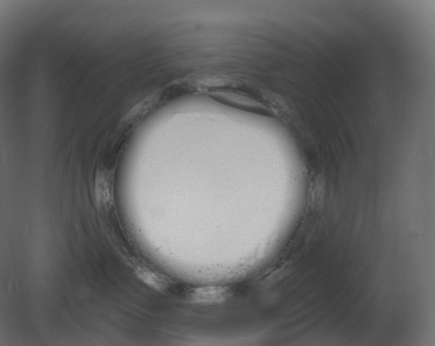 X0000080670335200701121639