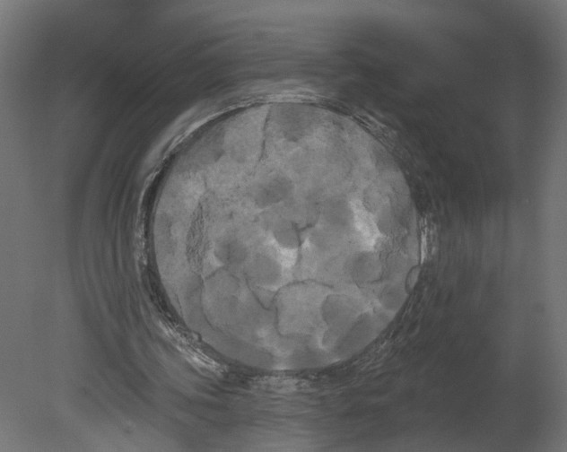 X0000080670339200701121638