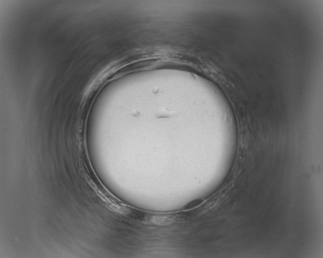 X0000080670341200701121638