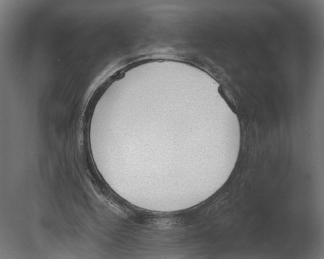 X0000080670344200701121638