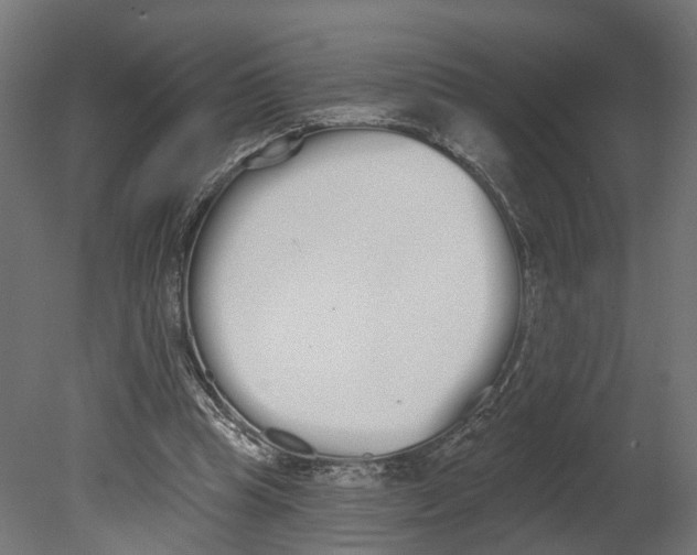 X0000080670345200701121638