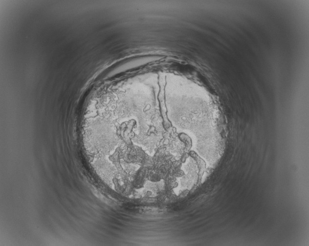 X0000080670347200701121638