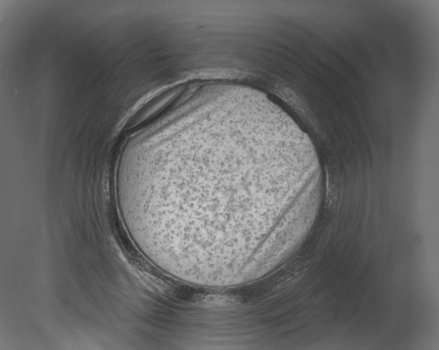 X0000080670348200701121638