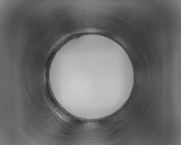 X0000080670350200701121638