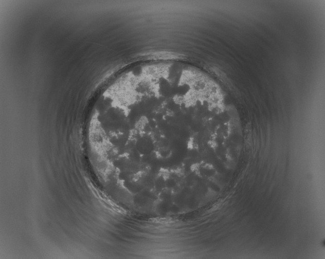 X0000080670351200701121638