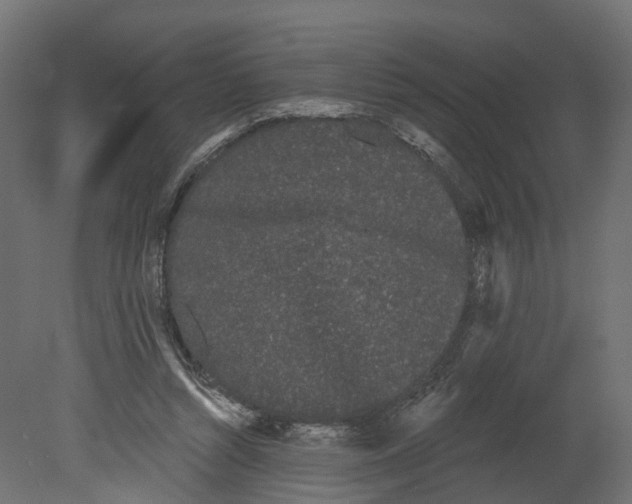 X0000080670352200701121638