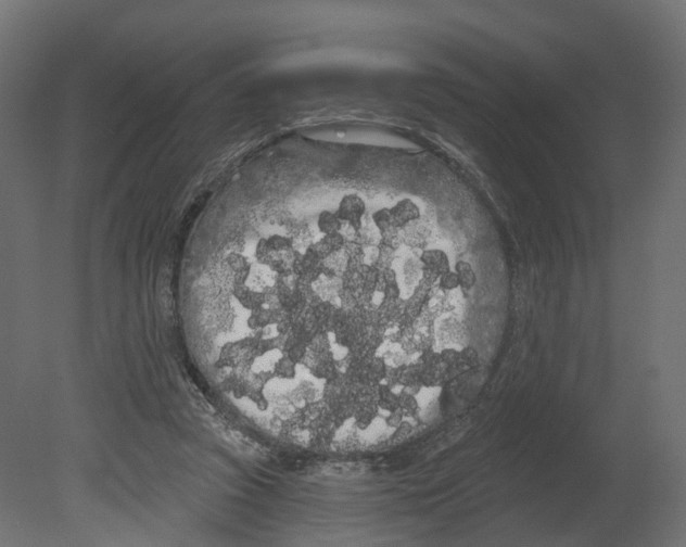 X0000080670353200701121638