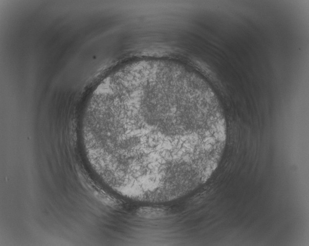 X0000080670354200701121638