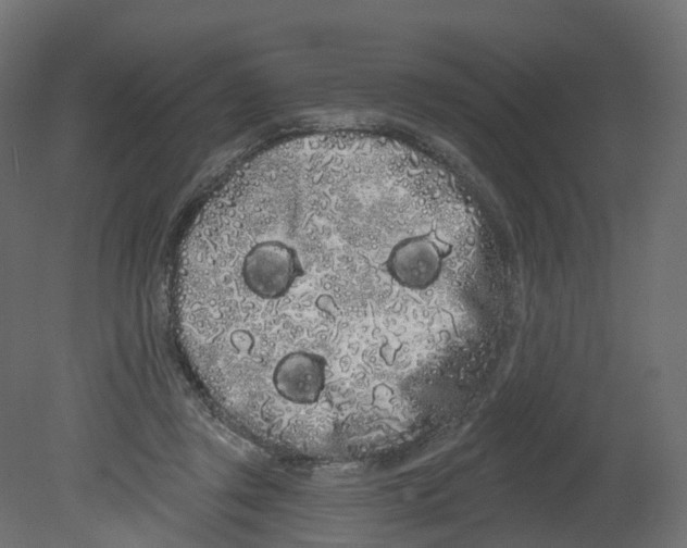 X0000080670357200701121638