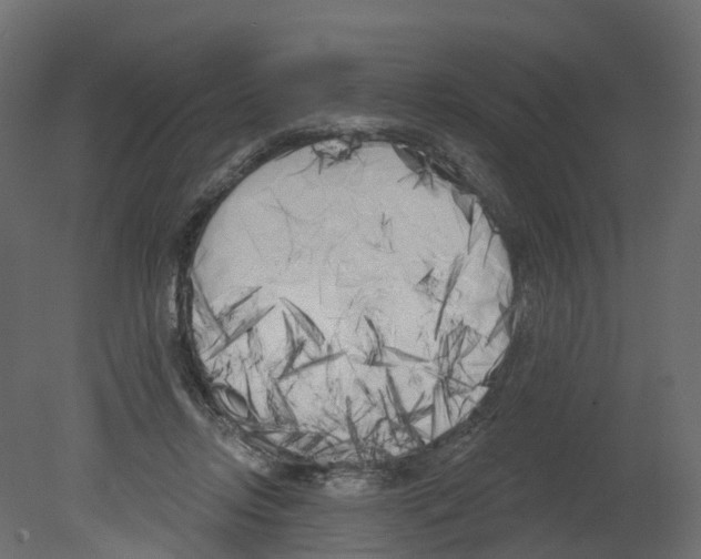 X0000080670358200701121638