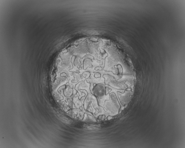 X0000080670359200701121638