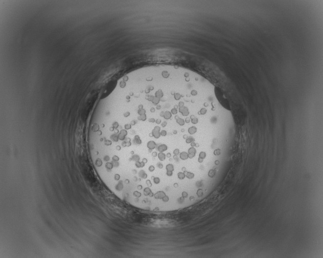 X0000080670360200701121638