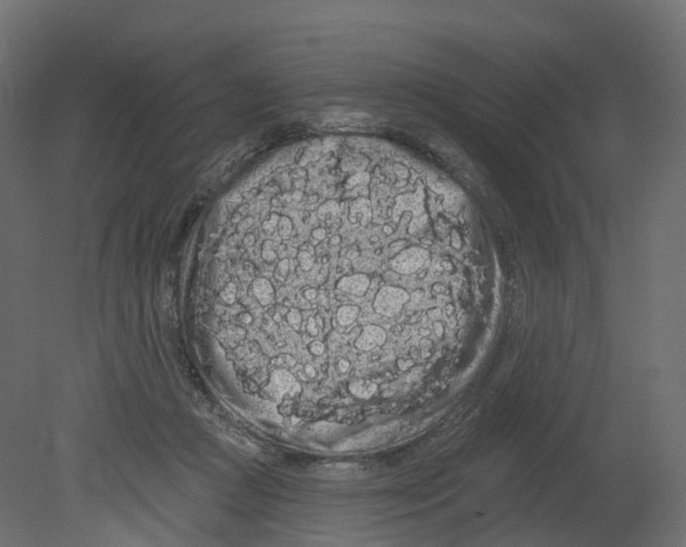 X0000080670361200701121639