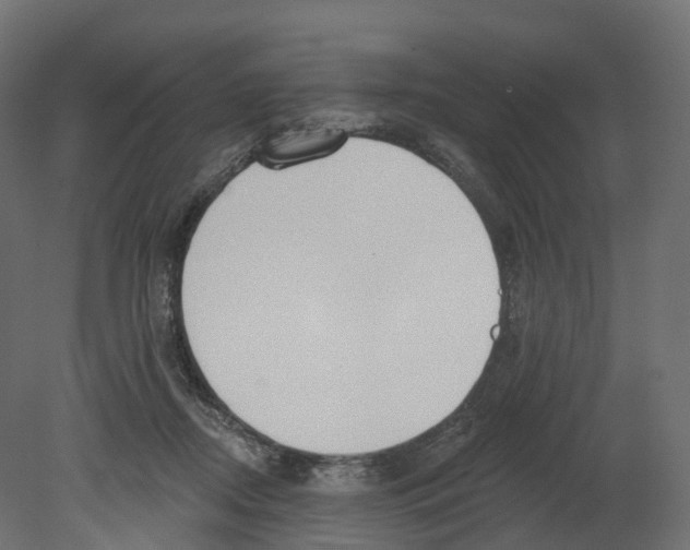 X0000080670362200701121639