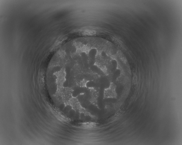 X0000080670363200701121639