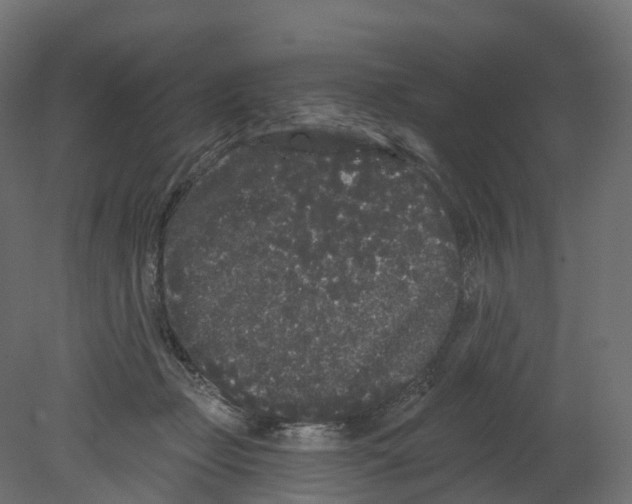 X0000080670365200701121639