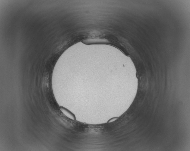 X0000080670368200701121639