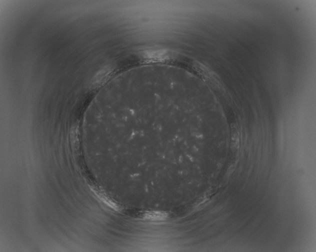 X0000080670369200701121639