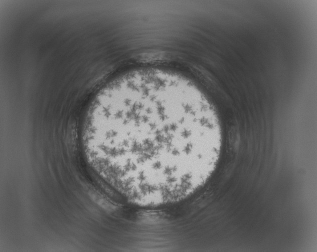 X0000080670372200701121639