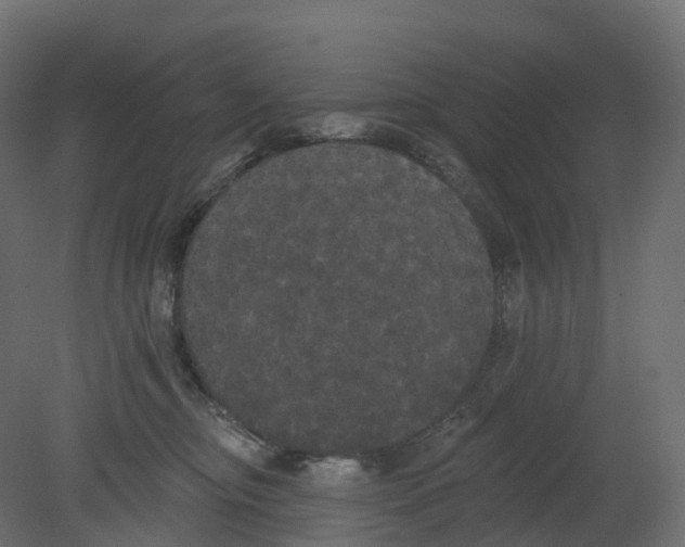 X0000080670374200701121639