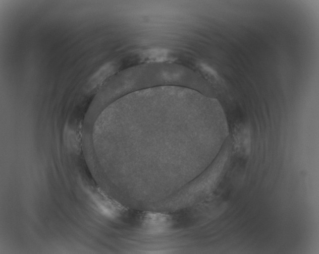 X0000080670376200701121639