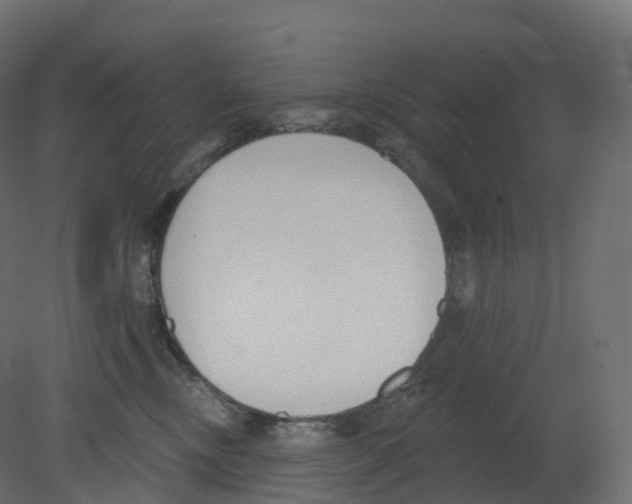 X0000080670378200701121639