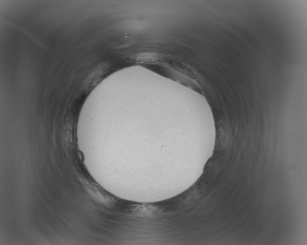 X0000080670379200701121639