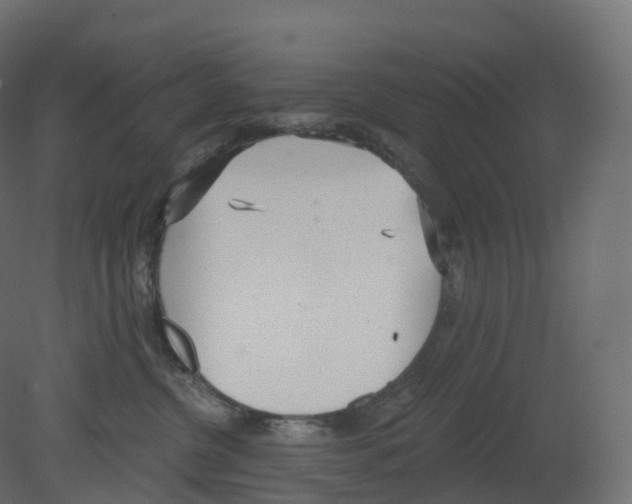 X0000080670380200701121639