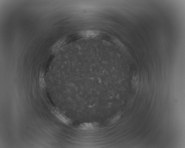 X0000080670381200701121639