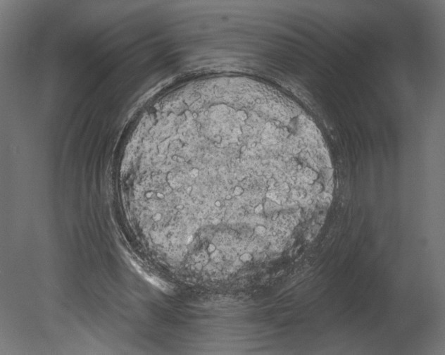 X0000080670390200701121638