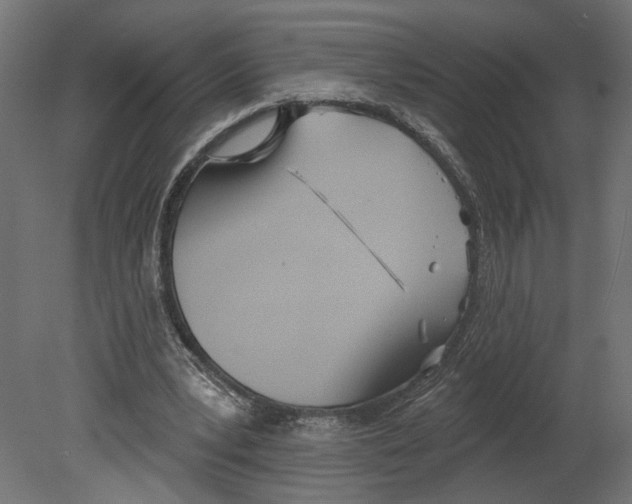 X0000080670391200701121638