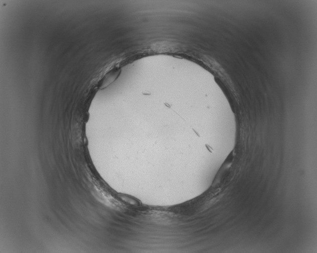 X0000080670393200701121638