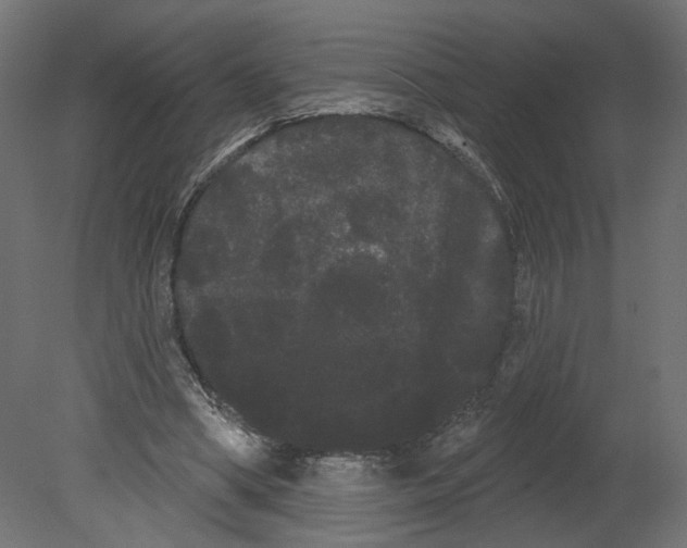 X0000080670394200701121638