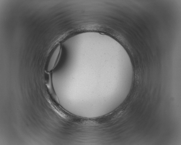 X0000080670397200701121638